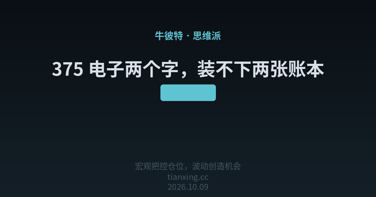 375 电子两个字，装不下两张账本